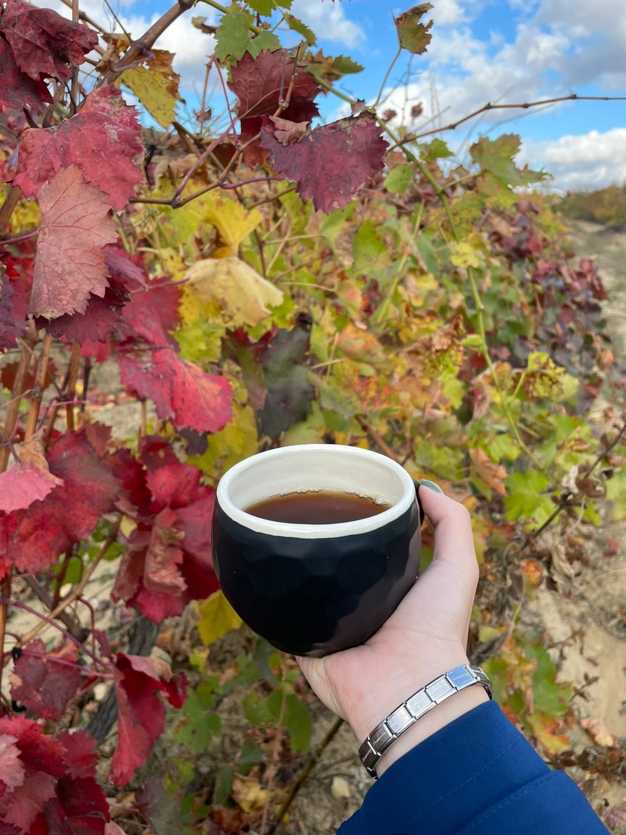 осенний крым фотоотчет 