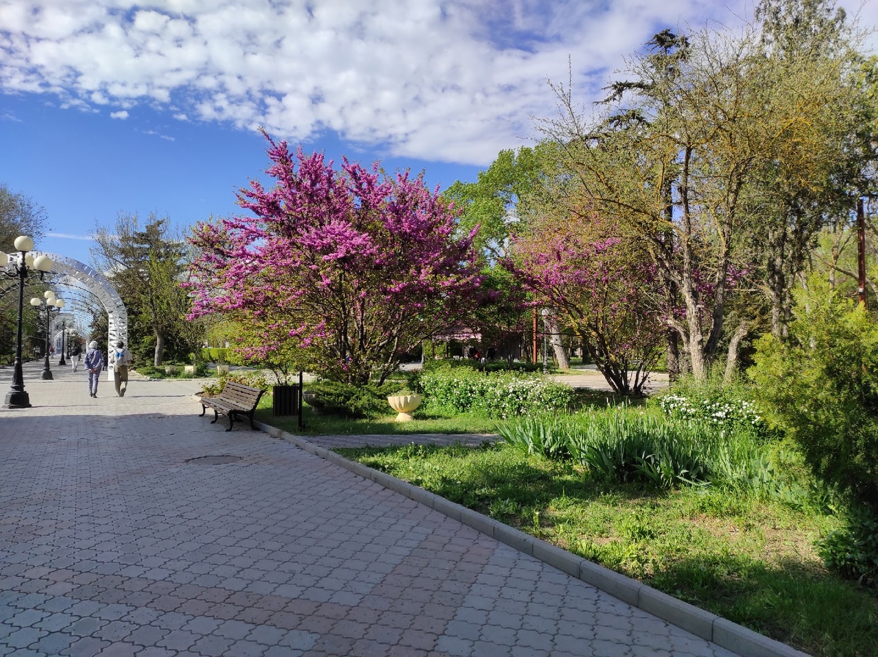 Отдых в Евпатории с детьми фото 