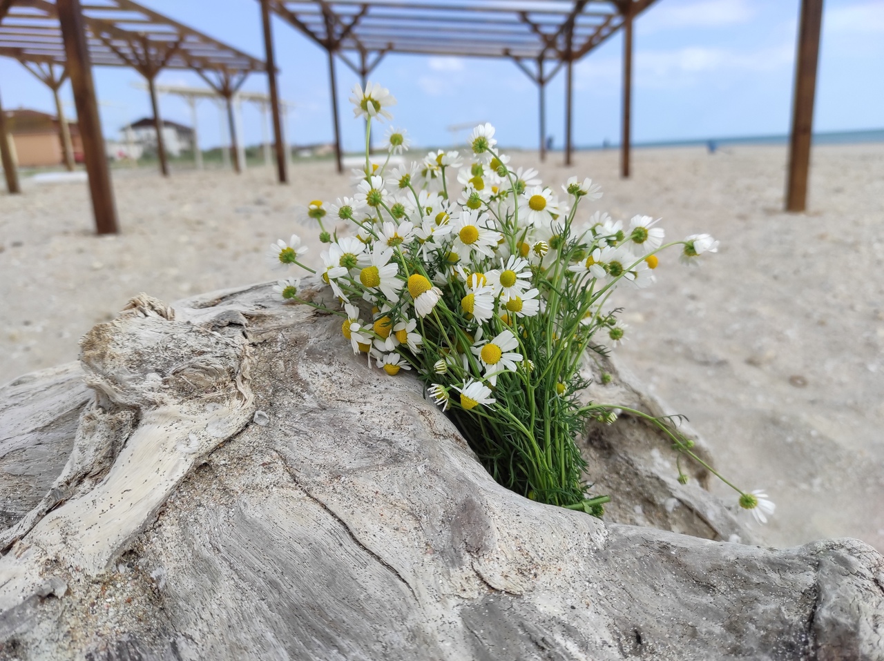 базы отдыха в крыму в штормовом фото 