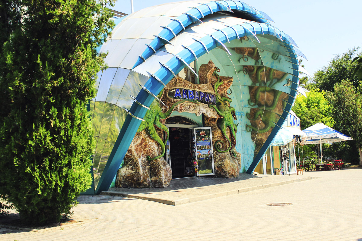 Аквариум в евпатории фото 